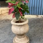 Vintage Stone Planter white