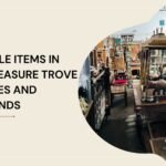 Collectible Items in India: A Treasure Trove of Antiques and Vintage Finds