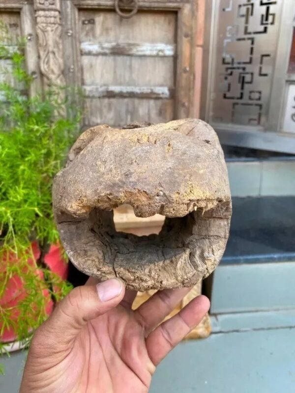 1700s Rare Ancient Wooden Hand-Carved Crocodile Head Mask Sculpture2