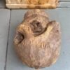 1700s Rare Ancient Wooden Hand-Carved Crocodile Head Mask Sculpture3