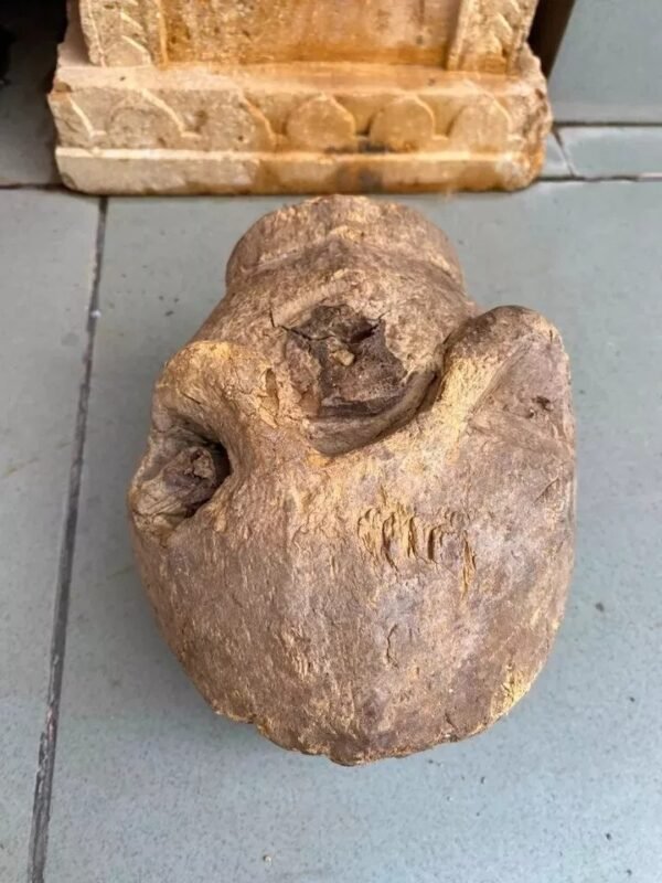 1700s Rare Ancient Wooden Hand-Carved Crocodile Head Mask Sculpture3