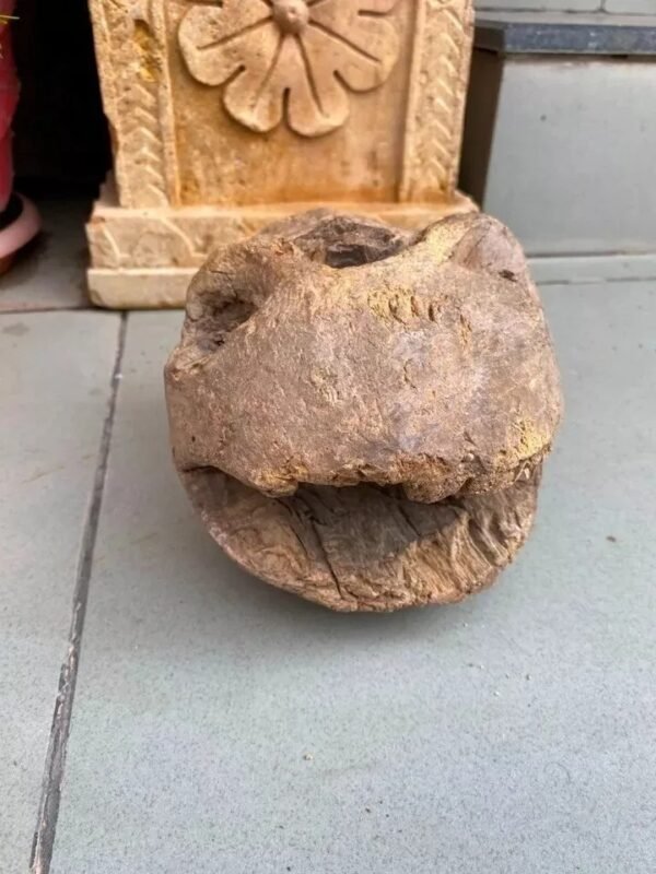1700s Rare Ancient Wooden Hand-Carved Crocodile Head Mask Sculpture4