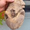 1700s Rare Ancient Wooden Hand-Carved Crocodile Head Mask Sculpture5