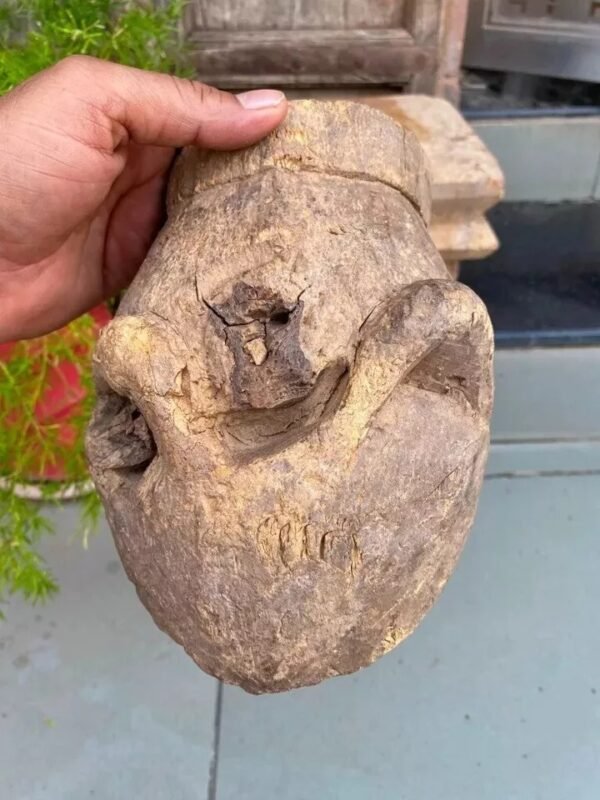 1700s Rare Ancient Wooden Hand-Carved Crocodile Head Mask Sculpture5