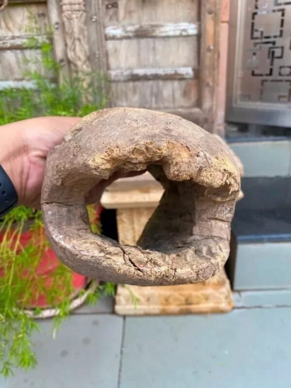 1700s Rare Ancient Wooden Hand-Carved Crocodile Head Mask Sculpture6