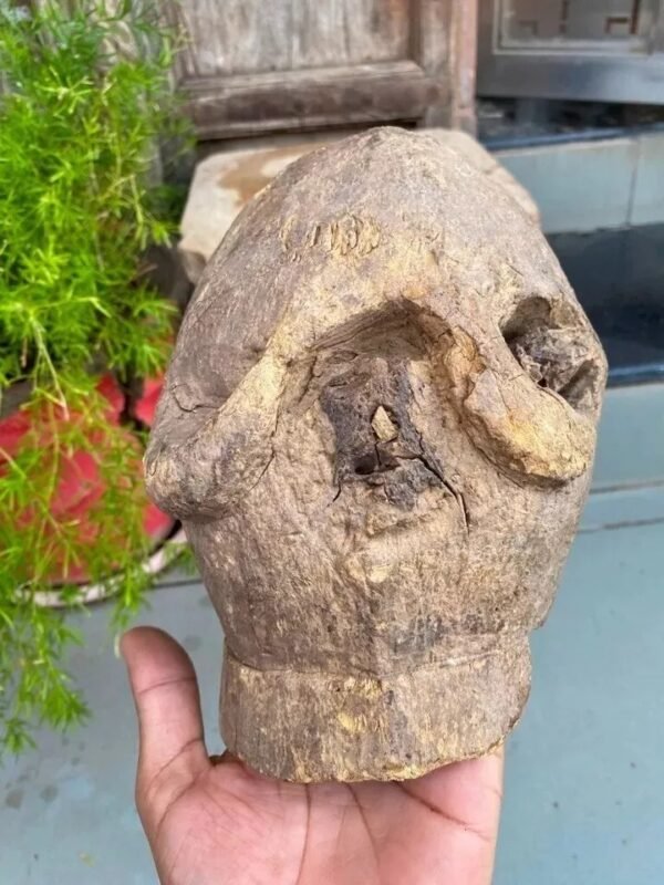 1700s Rare Ancient Wooden Hand-Carved Crocodile Head Mask Sculpture1