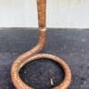 1700's Ancient Copper Hand-Forged Shiva Lingam Naga | Hindu Temple Antique3