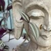 1890 antique Buddha head sculpture4