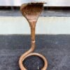 1700's Ancient Copper Hand-Forged Shiva Lingam Naga | Hindu Temple Antique7