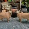 Handcarved Natural Wooden Cow Pair | Traditional Art | 15x17 inch6
