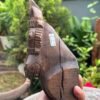 1700's Antique Old Wooden Hand Carved Original Tibetane Rare Horse Figurine3